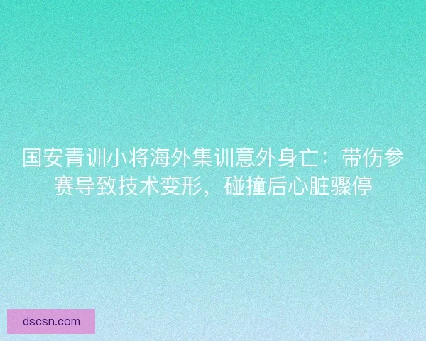 国安青训小将海外集训意外身亡：带伤参赛导致技术变形，碰撞后心脏骤停
