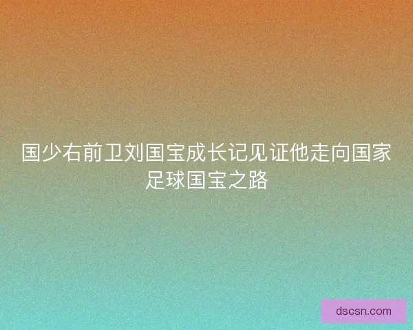 国少右前卫刘国宝成长记见证他走向国家足球国宝之路 国少右前卫刘国宝成长记见证他走向国家足球国宝之路